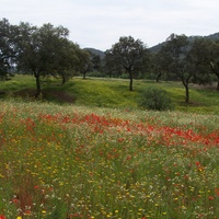 Photo de Espagne - Séville